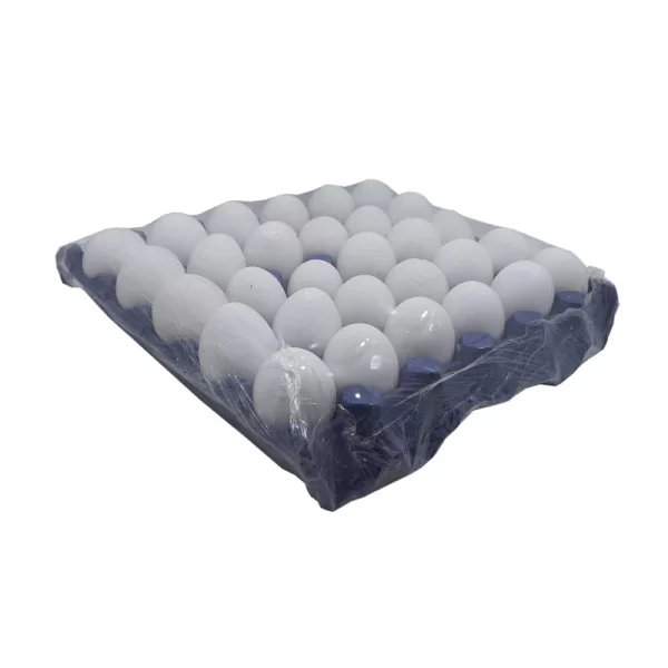 Huevo 30 piezas 1 cono