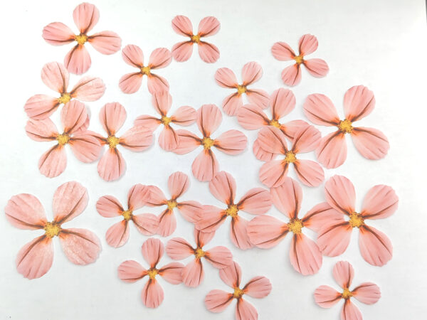 Flores de Papel Arroz